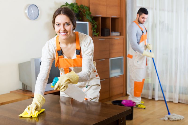 Townhouse Deep Cleaning in Bellevue, WA